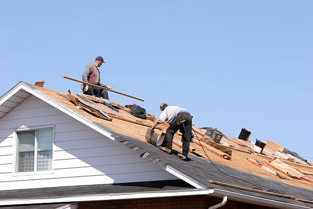 Best Slate Roofing  in Inverness, FL